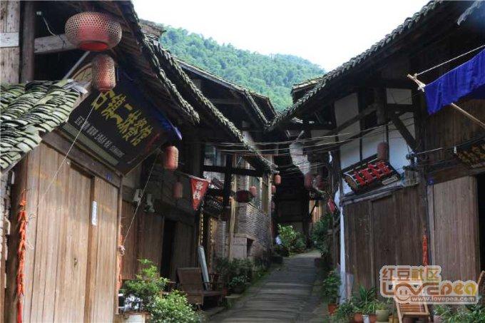 方舟生存进化